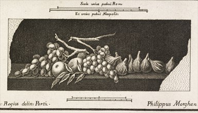 Delle antichità di Ercolano, Baiardi, Ottavio Antonio, 1694-1764, Engraving, 1757-1792, View of illustration