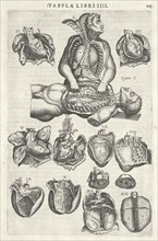 Tabvla libri IIII. Vivae imagines partivm corporis hvmani aereis formis expressae, Huys, Frans, 1522-1562, Huys, Pierre, 1519