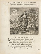 Emblema XXVI: Sapientiae humanae fructus Lignum vitae est. Michaelis Majeri, Secretioris naturae secretorum scrutinium chymicum