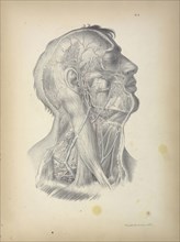 Pl. 4, Surgical anatomy, Maclise, Joseph, Lithography, 1851, Colored lithograph. Maclise is the author and illustrator