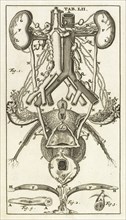 Tab. LII, Steph. Blancardi Anatomia reformata, sive, Concinna corporis humani dissectio, ad neotericorum mentem adornata