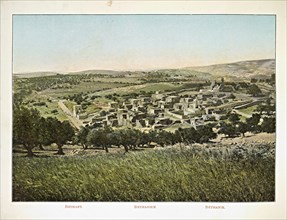 Album: flowers and pictures of the Holy Land, Boulos Meo, 1890s