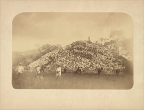 Man standing on top of the mound at Mayapan, Augustus and Alice Dixon Le Plongeon papers, 1763-1937, bulk 1860-1910, Le Plongeon
