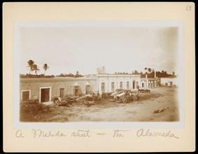 A Merida street - the Alameda, Augustus and Alice Dixon Le Plongeon papers, 1763-1937, bulk 1860-1910, Le Plongeon, Augustus