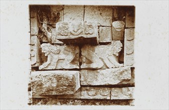 Crouching figures above Chac nose, Chenes Temple, Adivino Pyramid, Uxmal, Augustus and Alice Dixon Le Plongeon papers, 1763-1937