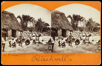 Road repair in Yucatan, Augustus and Alice Dixon Le Plongeon papers, 1763-1937, bulk 1860-1910, Le Plongeon, Augustus, 1826-1908