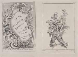 Plates C13 and C18 from the Livre de légumes inventées et dessinées par J. Me.r, Chedel, Pierre Quentin, 1705-1763, Huquier