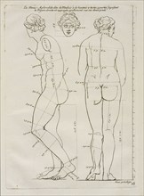 La Venus Aphrodide, Les proportions du corps humain: mesurées sur les plus belles figures de l'antiquité, Audran, Gérard, 1640