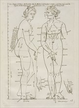 La Statue de Venus Aphrodide, Les proportions du corps humain: mesurées sur les plus belles figures de l'antiquité, Audran