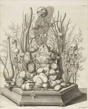 Ad. vivim Sculpsit, Frederici Ruyschii anatomes and botanices professoris, academiae caesareae curiosorum collegae, nec non