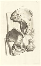 Nonagesimaenonae tabulae, Godefridi Bidloo, medicinae doctoris and chirurgi, Anatomia humani corporis: centum and quinque
