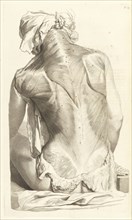 Vigesimaseptima tabula, Godefridi Bidloo, medicinae doctoris and chirurgi, Anatomia humani corporis: centum and quinque tabulis