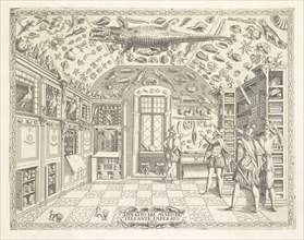 Ritratto del Museo di Ferrante Imperato, Historia natvrale, Imperato, Ferrante, 1550-1625, Copperplate engraving, 1672