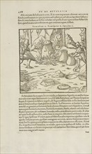 Page 468 Georgii Agricolae De re metallica: libri XII. Quibus officia, instrumenta, machinae, ac omnia deni, que, ad metallicam
