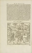 Page 464 Georgii Agricolae De re metallica: libri XII. Quibus officia, instrumenta, machinae, ac omnia deni, que, ad metallicam