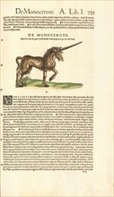 De monocerote, Historiæ animalivm, Gesner, Konrad, 1516-1565, Letterpress, woodcut, hand-colored, 1551