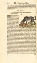 De hyæna, Historiæ animalivm, Gesner, Konrad, 1516-1565, Letterpress, woodcut, hand-colored, 1551