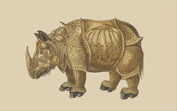 De rhinocerote, Historiæ animalivm, Gesner, Konrad, 1516-1565, Letterpress, woodcut, hand-colored, 1552