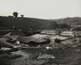 View of a coffee plantation, photograph of nineteenth-century Brazil, Ferrez, Marc, 1843-1923, ca. 1885