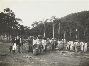 At the coffee plantation, Ferrez, Marc, 1843-1923, Photograph, ca. 1885