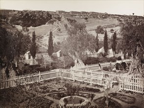Jardin de Gethsémané,orientalist photography, Bonfils, Félix, 1831-1885, 1880s