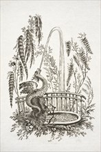 Fountain with dragon spouting water, Jean Pillement etchings, Deny, Jeanne, 1749-ca. 1815, Pillement, Jean, 1728-1808, Etching