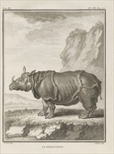 Le Rhinoceros, Histoire naturelle, générale et particulière: avec la description du cabinet de roi, Buffon, Georges Louis