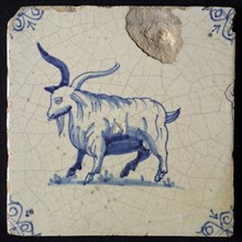 Animal tile, standing long-haired goat to the left, in blue on white, corner motif; ox head, wall tile tile sculpture ceramic