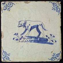 Animal tile, growling standing dog to the left on ground, in blue on white, corner pattern ox head, wall tile tile sculpture