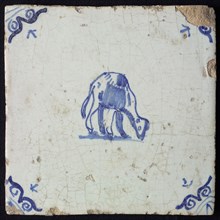 Animal tile, standing dromedary with head down to the right, in blue on white, corner pattern ox head, wall tile tile sculpture