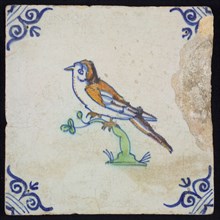 Animal tile, bird on branch to the left in orange, green, brown and blue on white, corner pattern ossenkop, wall tile