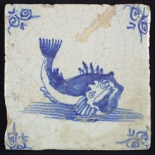 Animal tile, unknown fish in water to the right with open beak and curled tail, in blue on white, corner motif oxen head, wall