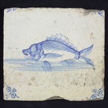 Animal tile, unknown fish in water to the left, in blue on white, corner motif of ox's head, wall tile tile sculpture ceramic