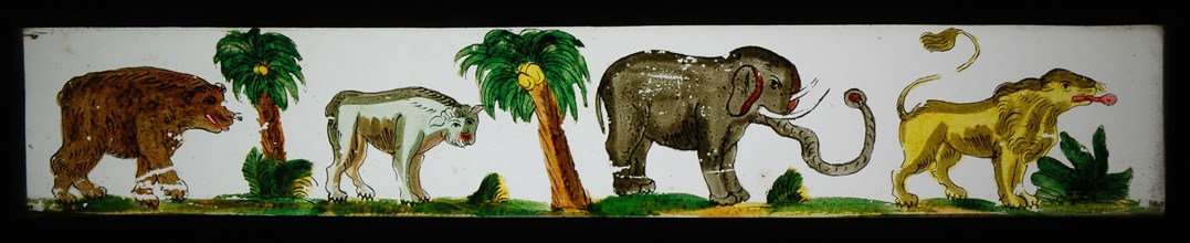 Hand-painted lantern plate in tin mount, depicting exotic animals, slide plate slideshope images glass paper tin, Hand-painted