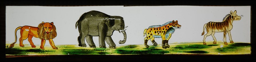 Hand-painted lantern plate with wild animals, slide slide slide picture glass paper, Hand-painted rectangular magic lantern