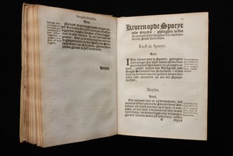 Bastiaensz., Matthijs, Inspection and orders of 't Heemraedschap of Schyelandt, old-print book information form paper cardboard