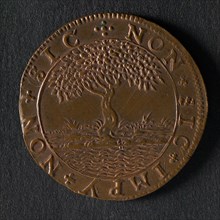 Medal on the prosperity in the Republic and in the East and West Indies, jeton utility medal medal exchange copper, fruit laden