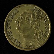 Medal on the death of Louis XVI, death medal medal medal brass brass wire 2,4, portrait Louis XVI to left legend: LOUIS XVI ROI