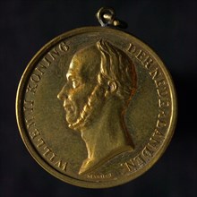 M.E.C.F. de Vries, Contribution to the death of King Willem II, death certificate conscription medal penning identification