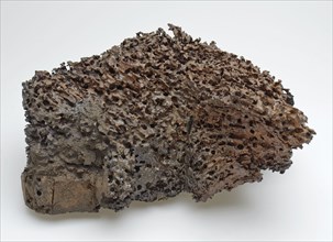 Fragment of the cobblestone Schielandshuis, fragment beam building element timber, Fragment of eaten head of beam