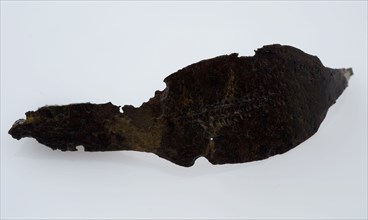 Bronze fibula or mantle pin, curved model with flat back, without pin, fibula fastener soil find bronze metal, poured beaten