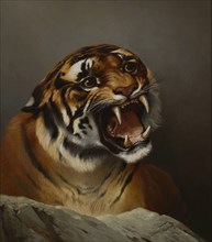 Daniel Adolphe Robert Jones, Portrait of tiger Atyr, portrait painting visual material linen oil paint, H. Martin. .R. Jones