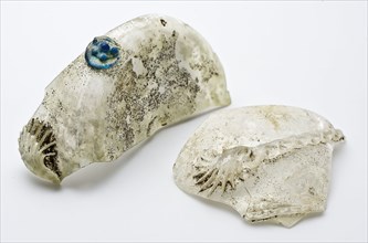 Two fragments of foot, bottom and part of the wall of cup with blue burr bud, beaker drinking glass drinking utensils tableware