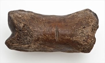 Digit from cow's leg, part of throwing game: flocks, koot game piece relaxant soil find leg, Bone on the long sides marked, two