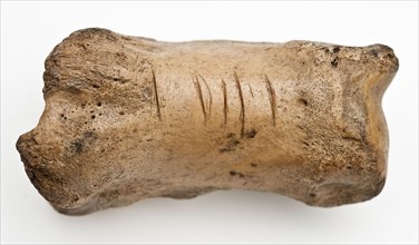 Digit from cow's leg, part of throwing game: flocks, koot game piece relaxant soil find leg, Bone marked, five lying grooves