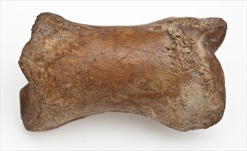 Digit from cow's leg, part of throwing game: flocks, koot game piece relaxant soil find leg, Bone on long side marked p. Cross
