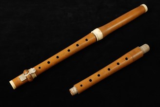 Tuerlinckx, Three-part wooden flute with additional spacer, flute flute aethiop musical instrument acoustic palm wood? wood