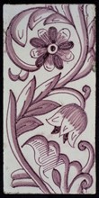 Rectangular edge tile in purple with hinged decor of tulip, with flower of ten oval petals, leaves, type of tulip fawn, yellow