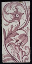 Rectangular edge tile in purple with tulip decor, with light colored flower with 10 oval petals, leaves, tulip fin, yellow