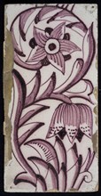 Rectangular edge tile in purple with sling of spotted tulip, flower with ten triangular petals, leaves, type of tulip fawn